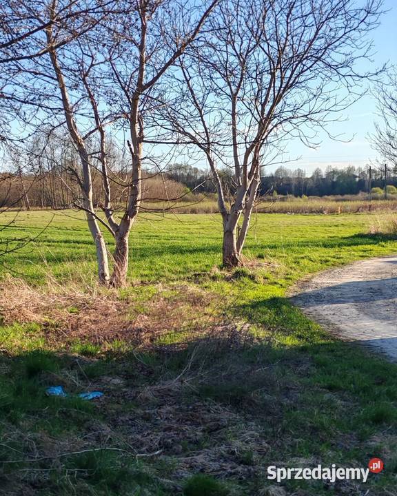 Działka 17 ar Leżajsk Wierzawice