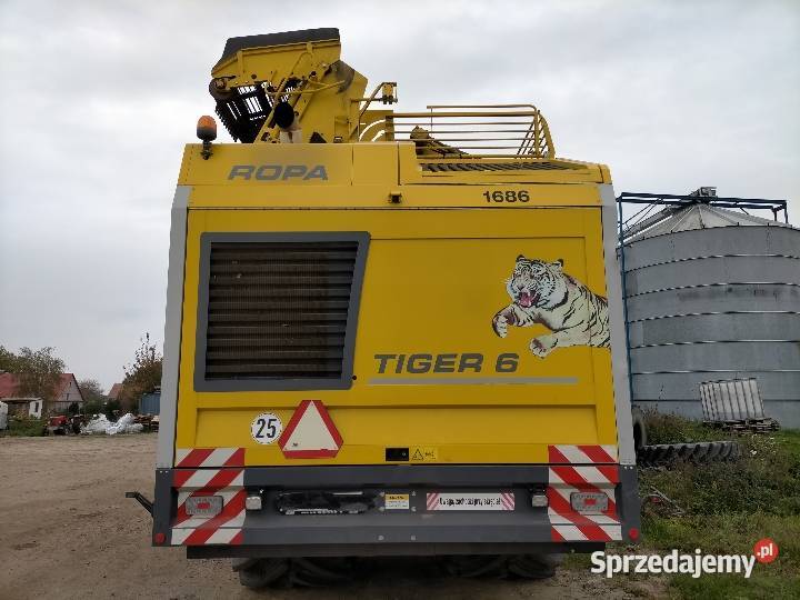 Ropa TIGER 6 dolnośląskie Wołów