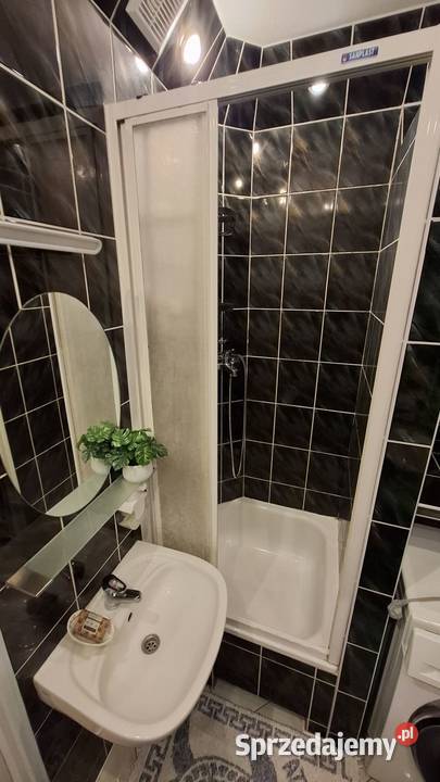 3 pokoje Gdańsk Chełmzwierzęta mile widziane