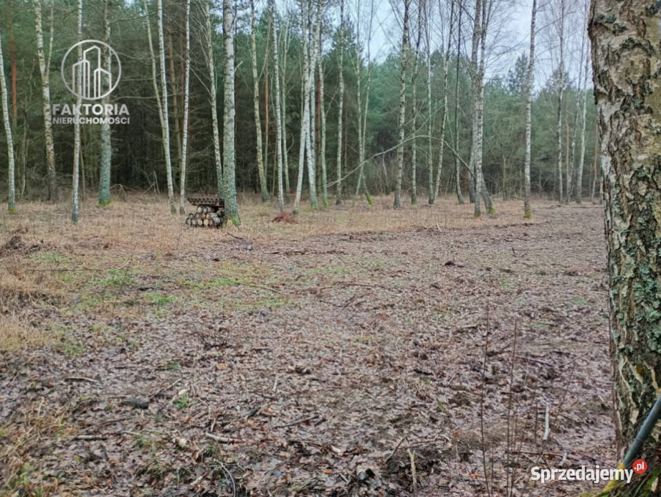 Działka Tarnopol Mostki 960m2 podlaskie Bołtryki sprzedam