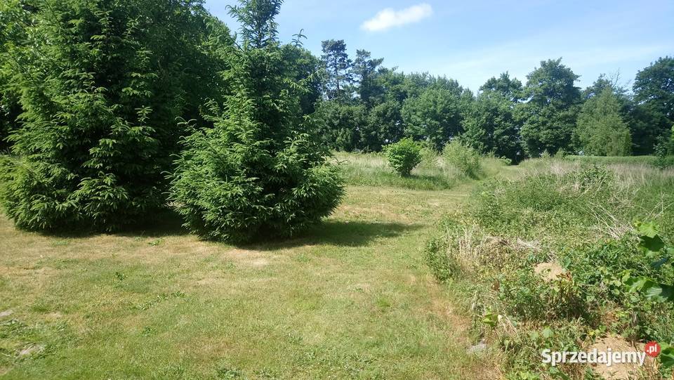 działka z warunkami zabudowy morzem sprzedam