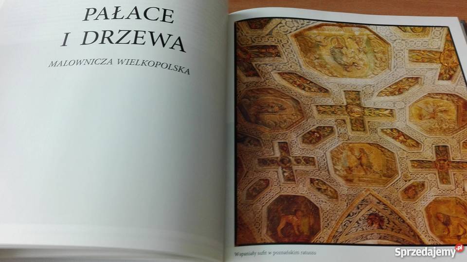 Polska nas 21 tras Polsce RABIJ