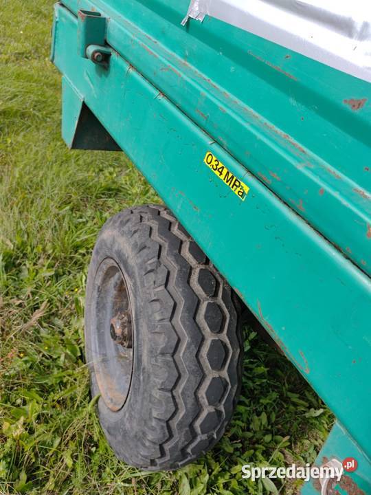 Rozrzutnik obonika Borki Małe