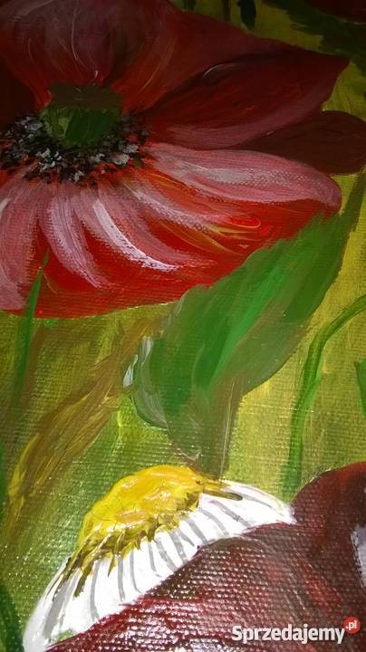 Łąka z makami akryl na płótnie Oleśnica