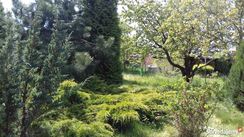 Sprzedam ogródek działkowy mazowieckie