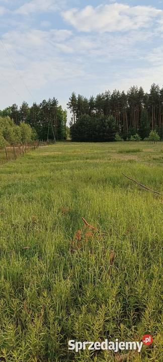 Działka budowlana 2 000 m2 Henryków gm Chynów sprzedam