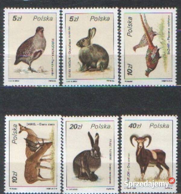 Zn Fi 2869 71 6 8 90 3 902 3 1986 Gliwice sprzedam