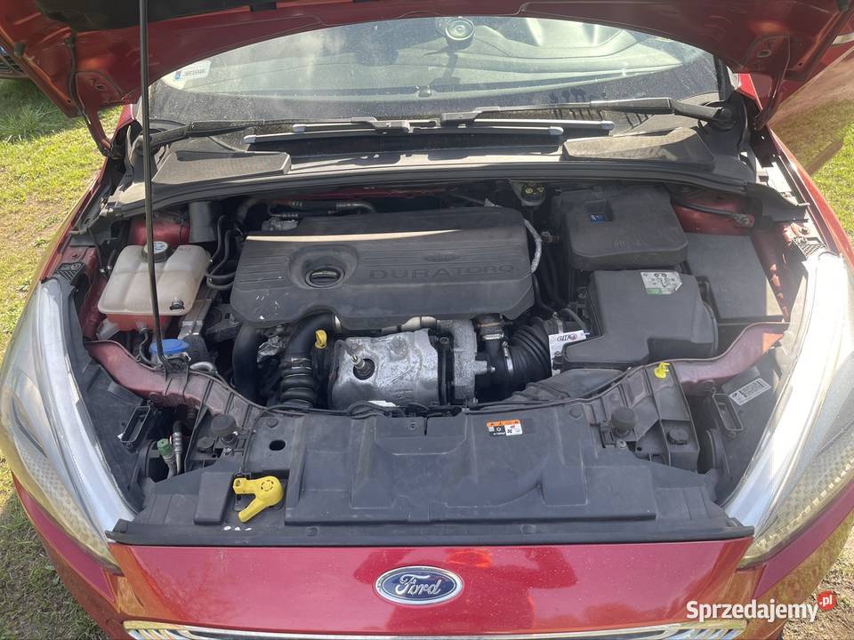 Focus mk3 kupiony w polskim salonie mazowieckie Sadowne sprzedam