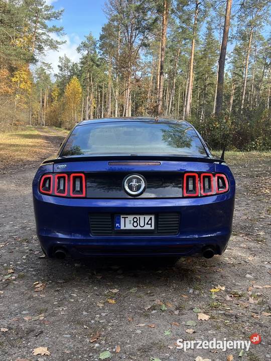 Ford Mustang 2013 37 v6 305 automat ładny