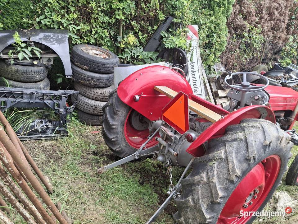 Ferguson 1952 diesel 4 cylindry Szczecin