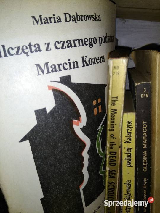 Wilczęta z czarnego podwórza Dąbrowska książki mazowieckie Warszawa