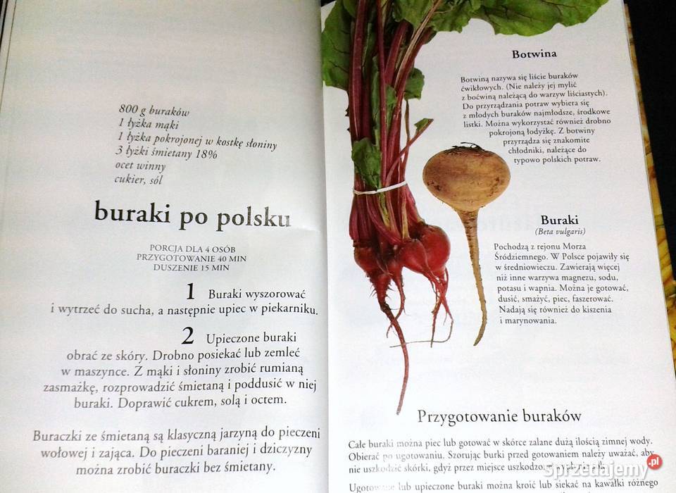 Encyklopedia sztuki kulinarnej Tom 32 Warzywa Chełm