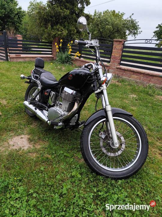 Sprzedam Suzuki Savage 650 Motoryzacja Nowy Skoszyn