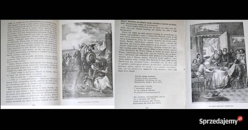 Przemyślny szlachcic Don Kichot z Manczy Miguel Chełm