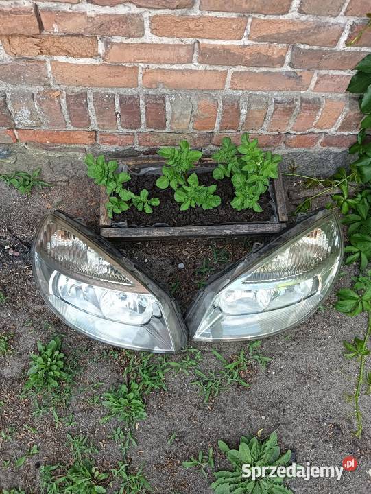 Lampy Scenic II całe kompletne eu Poniec