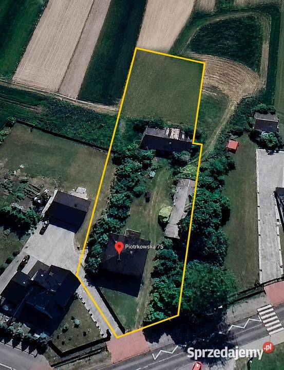 Dom z dużą działką na sprzedaż Bujny sprzedam