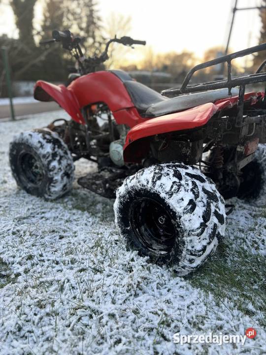 Bashan 259 Motoryzacja Ozorowice