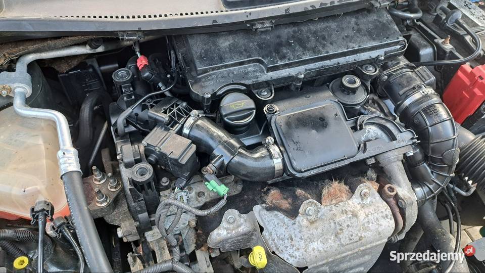 Ford Fiesta mk7 14 Tdci 68 5 drzwi HB Fiesta opolskie Niemodlin