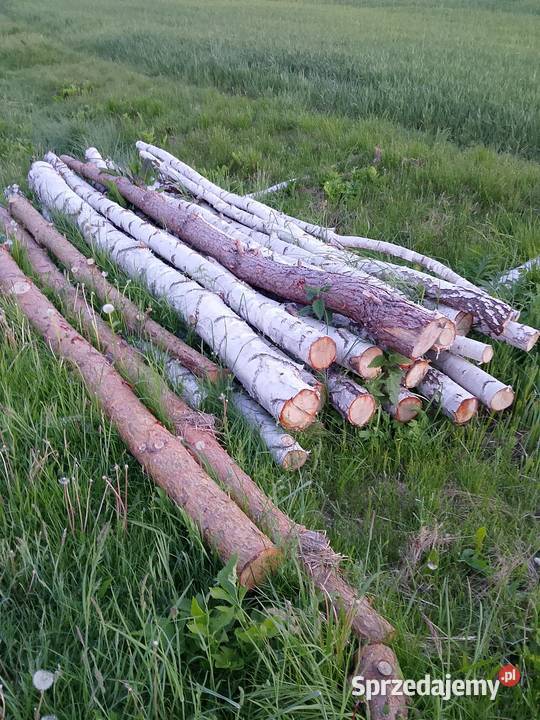 Kołkistęple 3m lubelskie Chełm