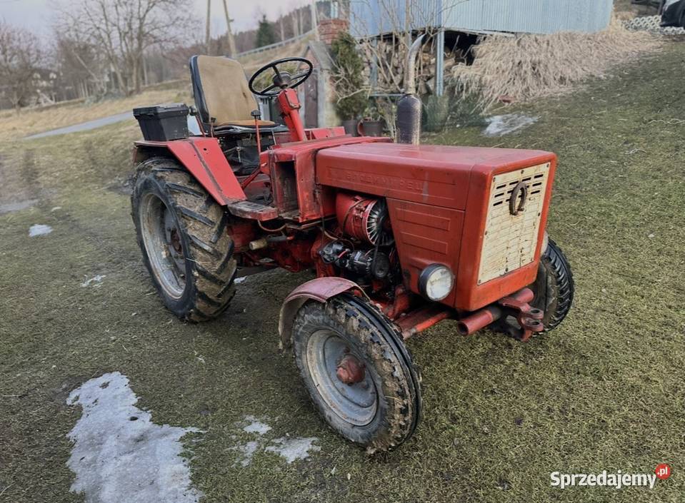 Wladymirec t25 Rusek Gruszowiec