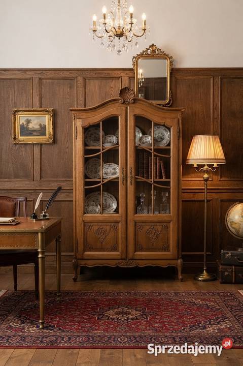 witryna biblioteka ludwikowska lity dąb Będzin sprzedam