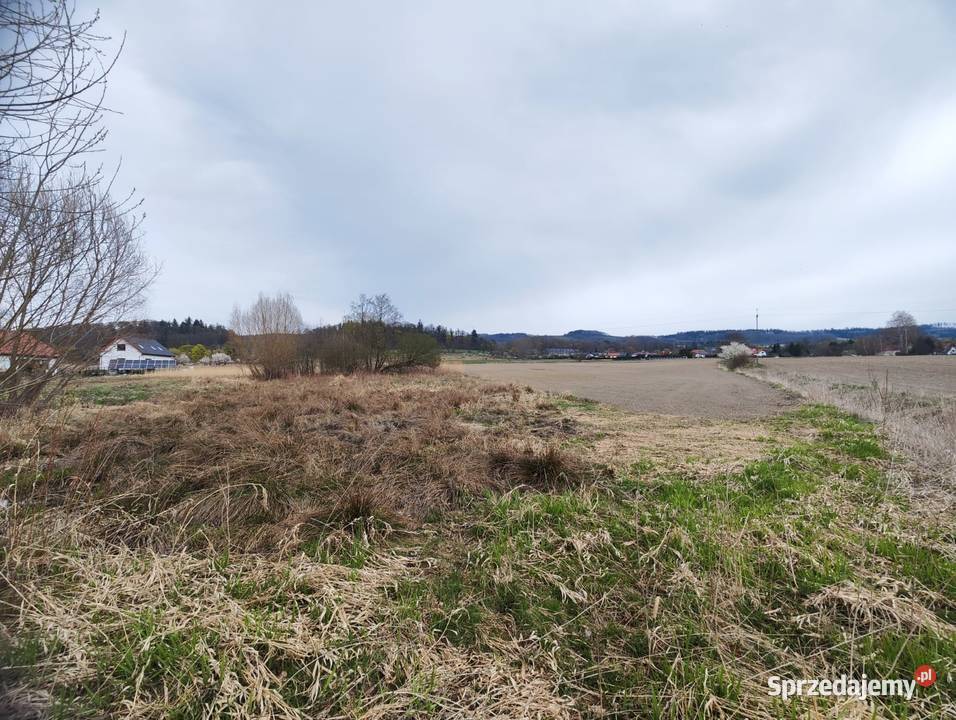 Działka budowlana z widokiem na góry Sosnówka