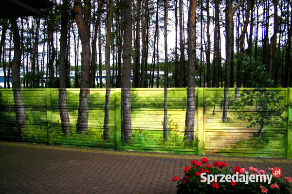 Mural malowany na ścianie graffiti reklama Łódź