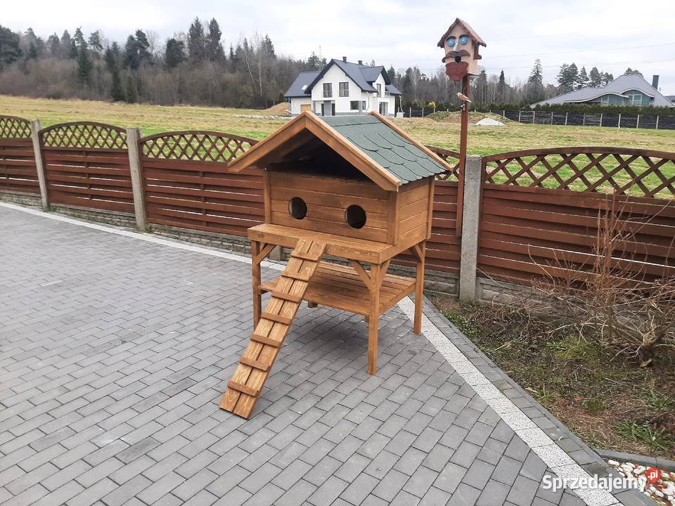 Buda dwóch kotów Jordanów