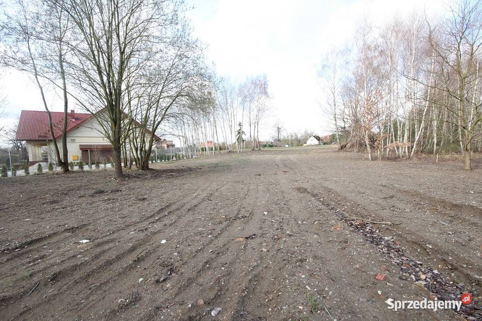 Dz Inwestycyjna 3498 m2 ok Trzebnickiej MEDIA Wilczyn sprzedam