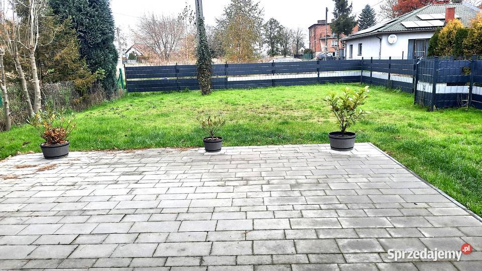 Do wynajęcia Dom z terenem zielonym Gliwice