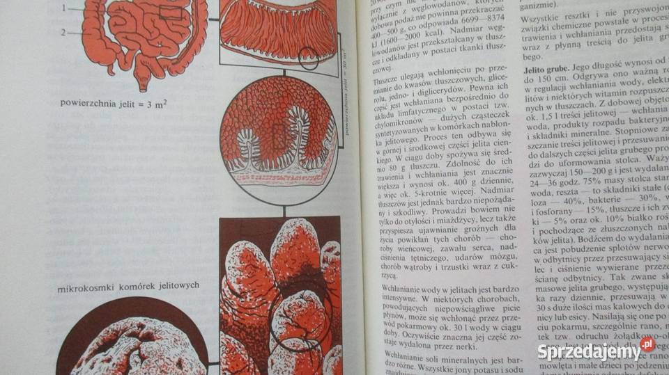 Domowy poradnik medyczny Medycyna naturalna medycyna, nauki medyczne Łódź