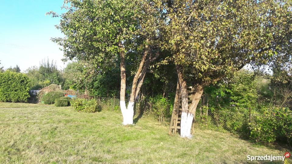 Działka rekreacyjna ROD Pogodny Szczecin