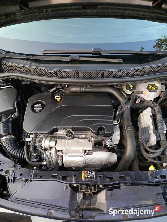 Astra K 1 4 Turbo 150 kujawsko-pomorskie Wieniec