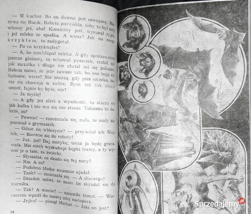 Wakacje w Borkach Jadwiga Korczakowska Chełm sprzedam