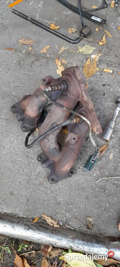 Kolektor wydechowy nissan primera p12 18 benzyna Dąbrowa Górnicza