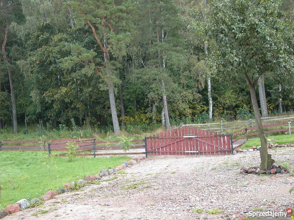 SPRZEDAM SIEDLISKO NA WARMI Gierłoż Polska sprzedam