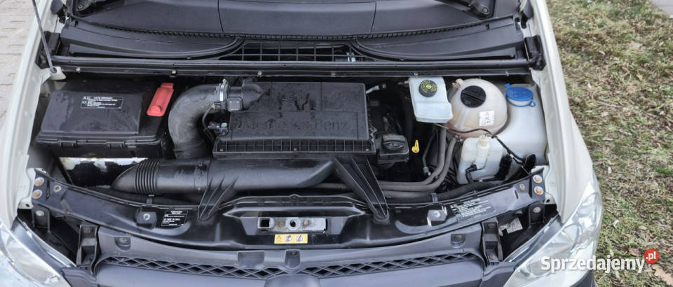 Mercedes Vito Mercedes Vito W639 113CDI 7osobowy beżowy Vito