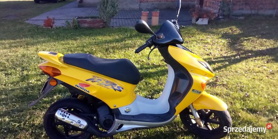 skuter HONDA X8RS Honda Motoryzacja łódzkie Buczek