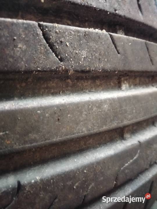 Opony Dunlop Sport blueresponse 2056016 Strzelce Opolskie