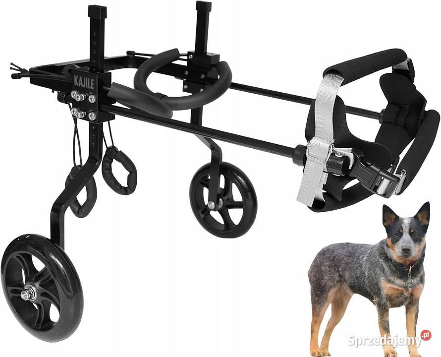 Haizi Kajile Regulowane 2 koła wózek psów Pozostałe Myszyniec