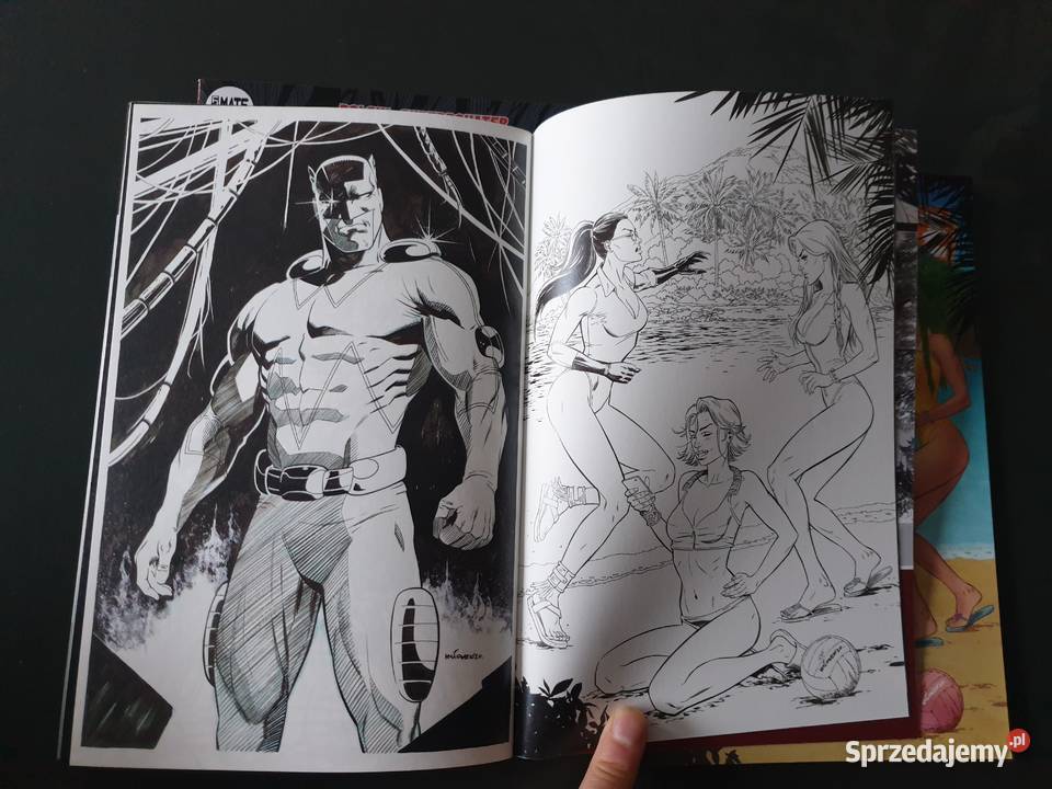 Polski Superbohater Biały Orzeł 3 wersje pomorskie Gdynia