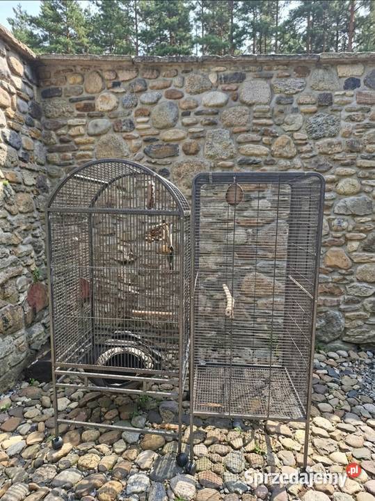 Klatka Klatki ptaków Wilamowice