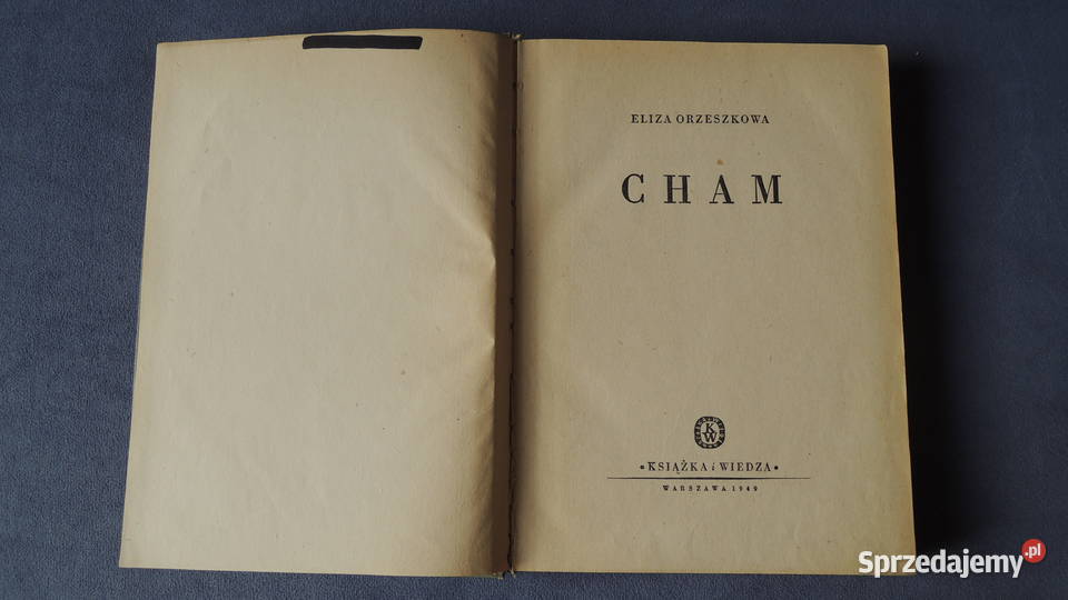 Książka Cham Eliza Orzeszkowa podlaskie Białystok