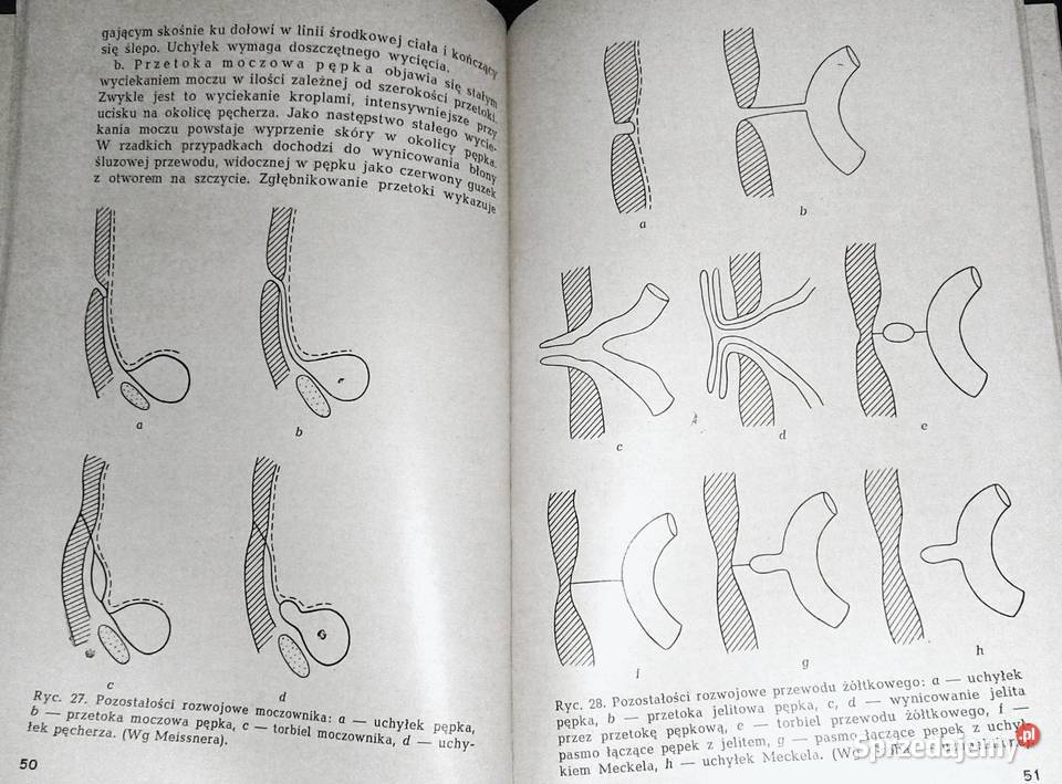 Diagnostyka chorób chirurgicznych wieku Chełm