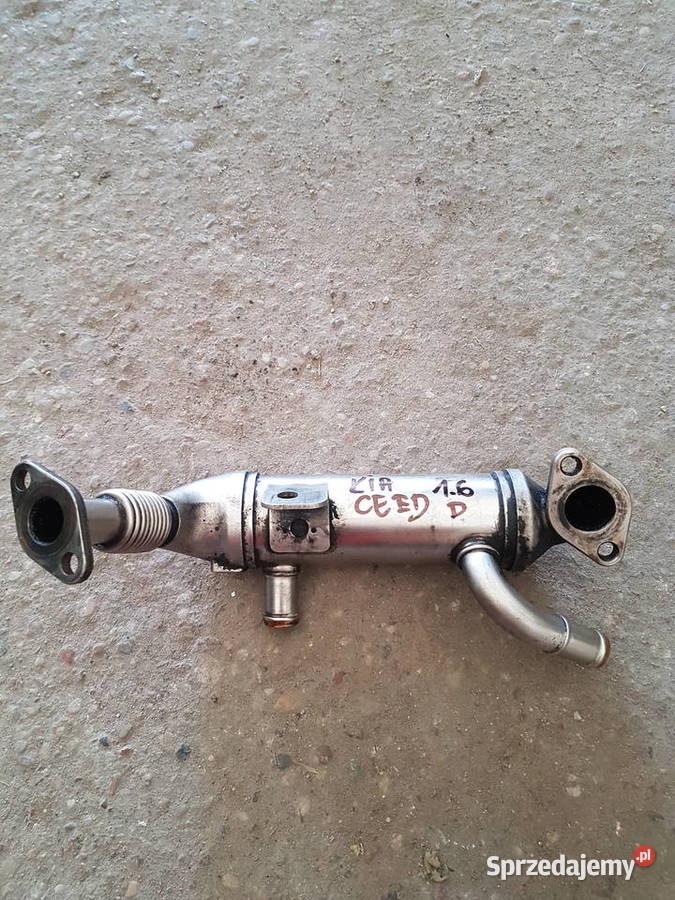 KIA CEED 16 CRDI CHLODNICA EGR SPALIN 284162A410 Turek sprzedam