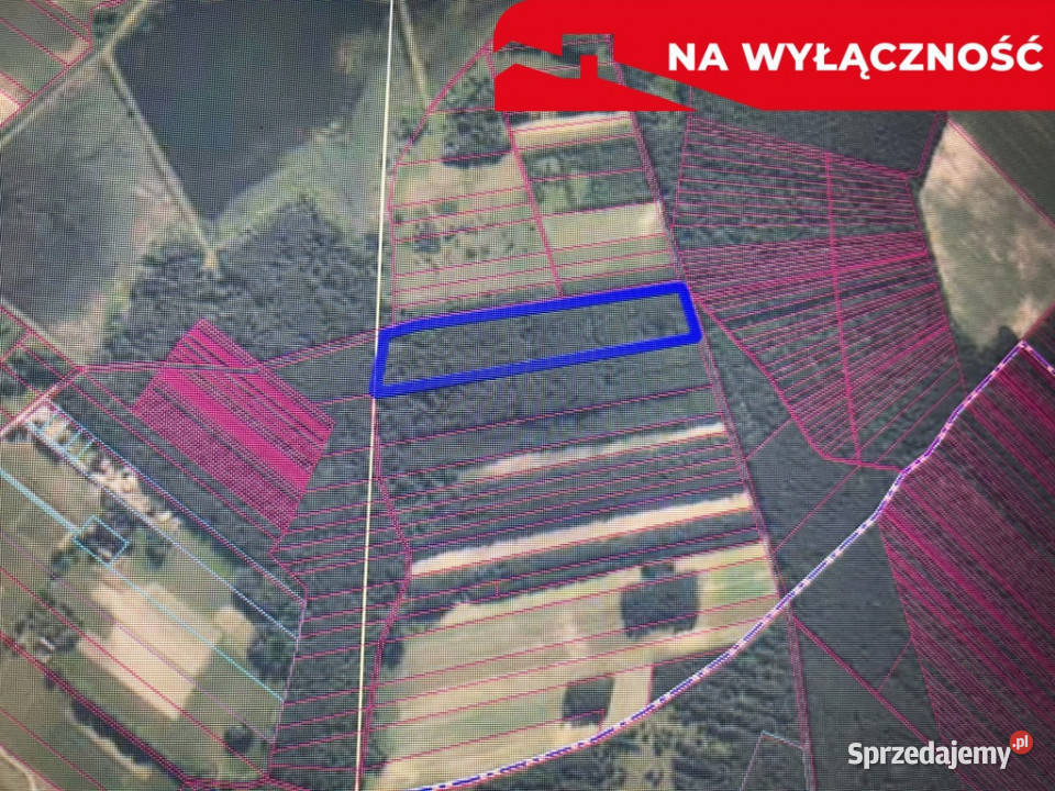 Działka leśna 390 ha w Brodach gm Pierzchnica Brody
