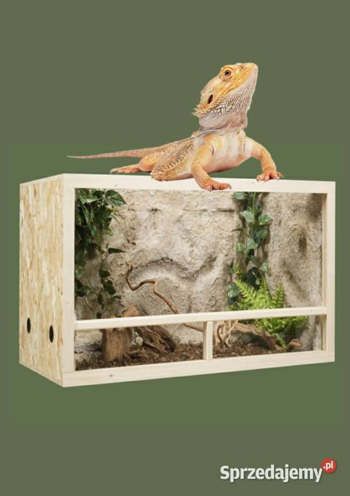 Terrarium z płyty OSB 120x80x80 Pięczkowo