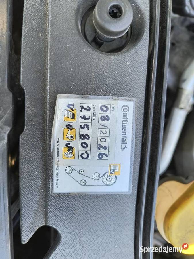 Renault scenik 2 elektryczne lusterka opolskie Namysłów