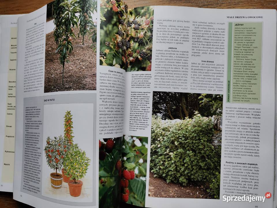 Ogród marzeń Barwna książka o zakładaniu małopolskie Kraków