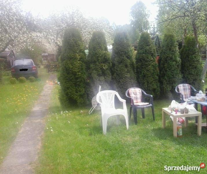 działka ogrodnicza ROD Wójtowa Rola rekreacyjna Olsztyn